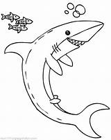 Coloring Shark Megalodon Pages Thresher Fish Cartoon Illustration Little Getdrawings Printable Getcolorings Color Sharks Colo sketch template