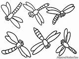 Dragonfly Insect Capung Mewarnai Libelulas Flies Dragonflies Maths Prek sketch template