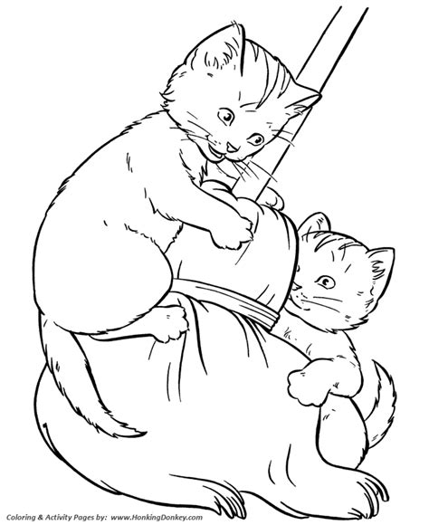 pet cat coloring pages kittens play coloring pages  activity
