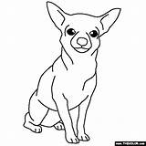 Chihuahua sketch template