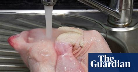 A Lazy Person S Guide To Food Hygiene Food The Guardian