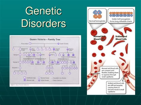 Ppt Genetic Disorders Powerpoint Presentation Free Download Id 9536728