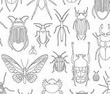 Coloring Bugs Spoonflower Bug Fabric sketch template
