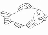 Coloring Fish Simple Pages Popular sketch template