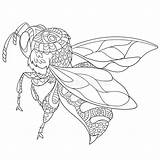 Zentangle Stylized Stilizzato Ape Doodle Bumblebee Antistress Insetto Illustrazioni sketch template
