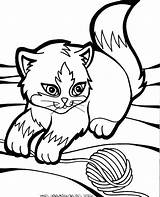 Kitten Puppy sketch template