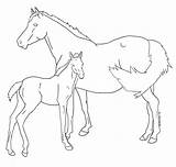 Foal Lineart Getdrawings sketch template