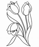 Printable Flowers Flower Coloring Pages Kids Color sketch template
