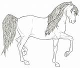 Coloring Pages Andalusian Friesian Horses Stallion Rearing Realistic Shire Color Deviantart Getcolorings Favourites Add Template sketch template
