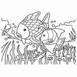 Zee Mooiste Vissen Dieren Visjes Tekening Colorare Uitprinten Volwassenen Lettere Leukvoorkids Waterdieren Doodle Zeemeermin Downloaden Regenboog Terborg600 sketch template