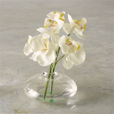 Phalaenopsis Orchid In Glass Vase Gump S