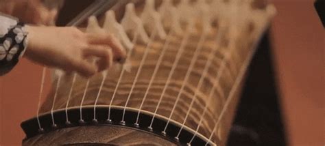 instruments gif find share  giphy