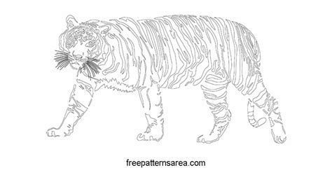 clipart tiger  clipart tiger  transparent