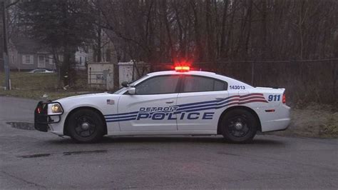 detroit police officers fight    undercover operation