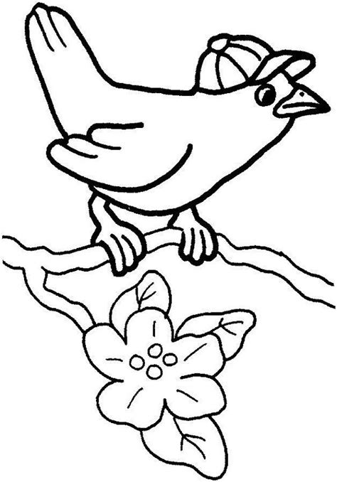 cute birds coloring pages  coloring pages