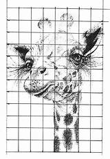 Cuadricula Giraffe Enlargement Shading Dibujar Pointillism Handouts Rostros Stippling Cuadritos Puntillismo Tecnicas Copying Jirafas Lapiz Sencillos Juliannakunstler sketch template