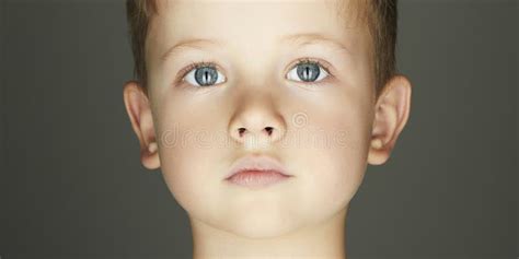child boy face stock photo image  innocence child