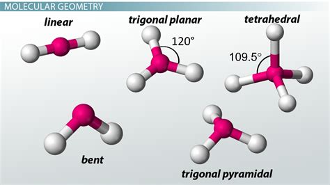 vsepr theory chart model video lesson transcript studycom