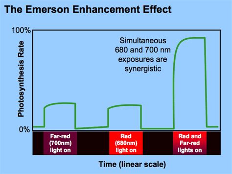 emerson effect alchetron   social encyclopedia