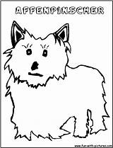 Coloring Affenpinscher Fun sketch template