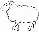 Pecora Stampare Pecore Disegnare Agnello Riscos Crescere Ovelhinhas Bimbi Pasqua Graciosos Sheep sketch template