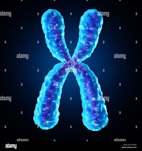 chromosome   human biology  structure  dna genetic information   medical symbol