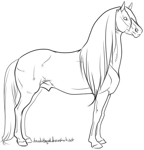 warmblood stallion lineart  amandaraquel desenhos  colorir