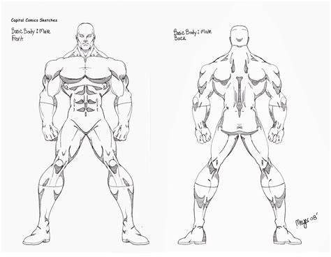muscular body drawing  getdrawings