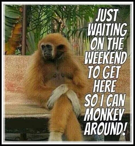 Funny Weekend Just Waiting Funny Quotes Weekend