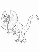 Dinosaurier Dilophosaurus Malvorlage Dinos Steinzeit Malvorlagen Dino Flugsaurier Rex Drucken Malen Kinderbilder Fotografieren Familie Schule Choisir sketch template
