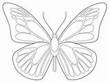 Butterfly Drawing Kids Butterflies Blank Coloring sketch template