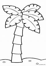 Cool2bkids Kelapa Untuk Palme Pokok Koleksi Indah Molde Baum Em Zum Visualartideas sketch template
