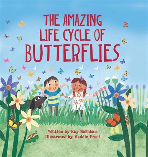 amazing life cycle  butterflies  kay barnham english