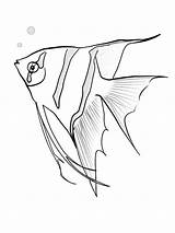 Angelfish Malvorlagen Jahr Fische Fisch Skalar Ausmalen sketch template