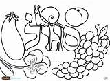 Coloring Pages Shabbos Fruit Challah Torah Salad Color Hebrew Printable Colors Getcolorings Tots Crumbs Archives sketch template