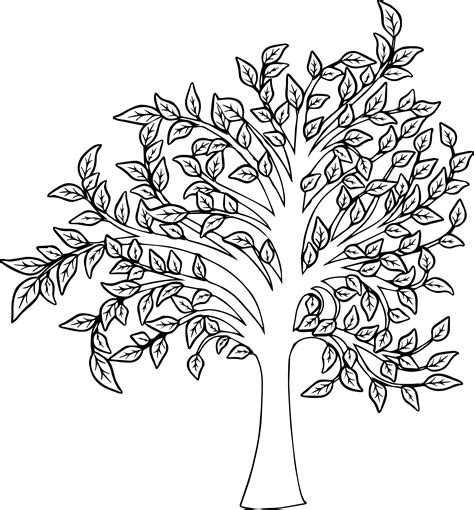 tree fall coloring pages visual coloringpages