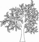 Tree Leaves sketch template