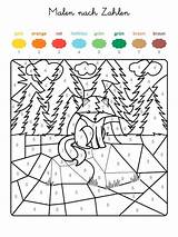 Wald Zahlen Malen Fuchs Ausmalen Ausmalbild Malvorlage Für Bilder Nummern Ganze Kostenlosen Motiv Zugeordnet Pinnwand Ausgemalt Alphabet Rätselspiele sketch template
