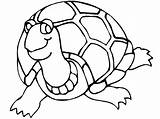 Coloring Turtle Shell Getdrawings Pages sketch template
