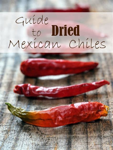 Your Guide To Dried Mexican Chile Peppers • Curious Cuisiniere