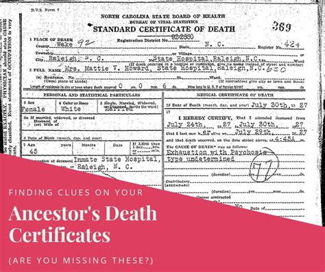death certificate tutoreorg master  documents