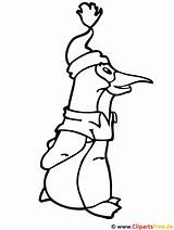 Pinguin Ausmalbild Penguin Ausdrucken Malvorlage Zugriffe Malvorlagenkostenlos Titel sketch template