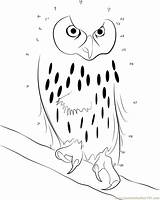 Dot Owl Connect Laughing Dots Worksheet Kids Pages Worksheets Colouring Coloring Printable Connectthedots101 sketch template