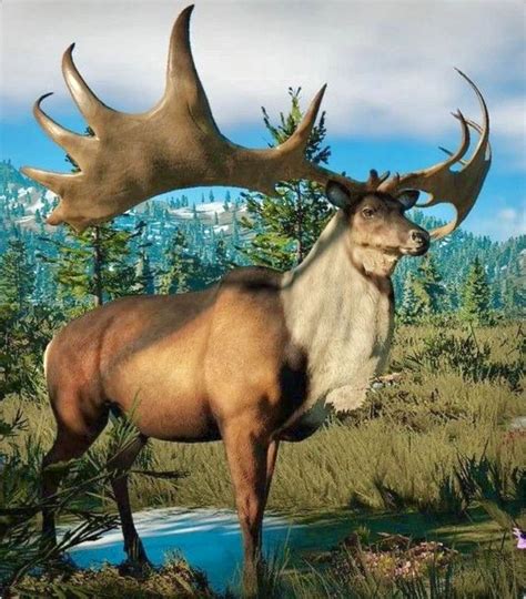 extinct irish elk megaloceros giganteus ranged  eurasia