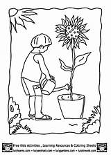Coloring Pages Kids Plant Garden Growing Gardening Clipart Tools Vegetable Green Popular Library Insertion Codes sketch template