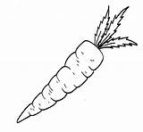 Carrots Openen sketch template