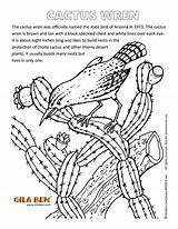 Arizona State Coloring Pages Cactus Wren Bird Canyon Grand Symbols Clipart Color Print Printable Artwork Getcolorings Printout Use Clipground sketch template