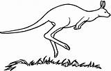 Kanguru Mewarnai Anak Paud Tk Seni Meningkatkan Semoga Bermanfaat sketch template
