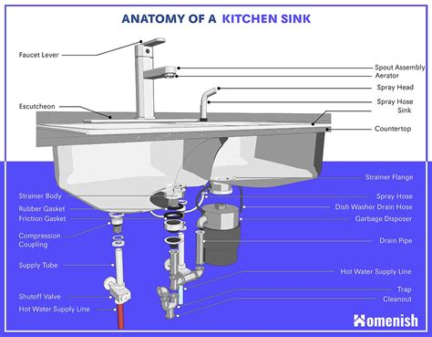 bathroom sink anatomy  bathroom