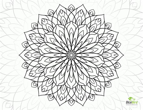 flower adult coloring pages coloring home
